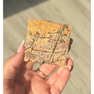 ✨🌳The Last Tree of Winter ~ Picture Jasper Slab🌳✨