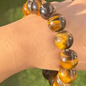 🐅The Golden Sentinel ~ Tiger Eye🐅