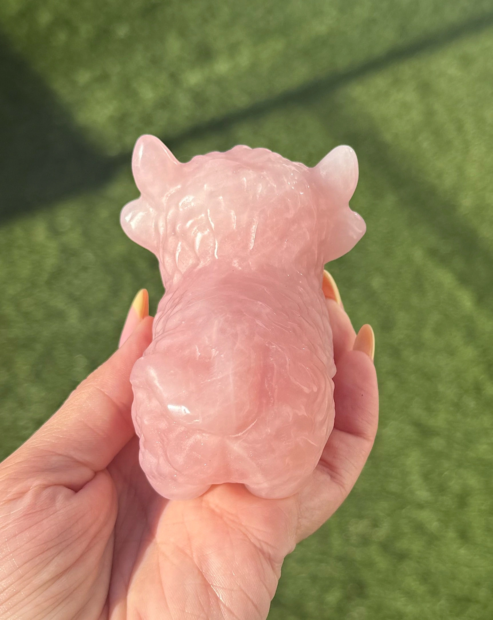 🌸🐮The Heartkeeper ~ Rose Quartz Highland Cow🐮🌸 - Image 3