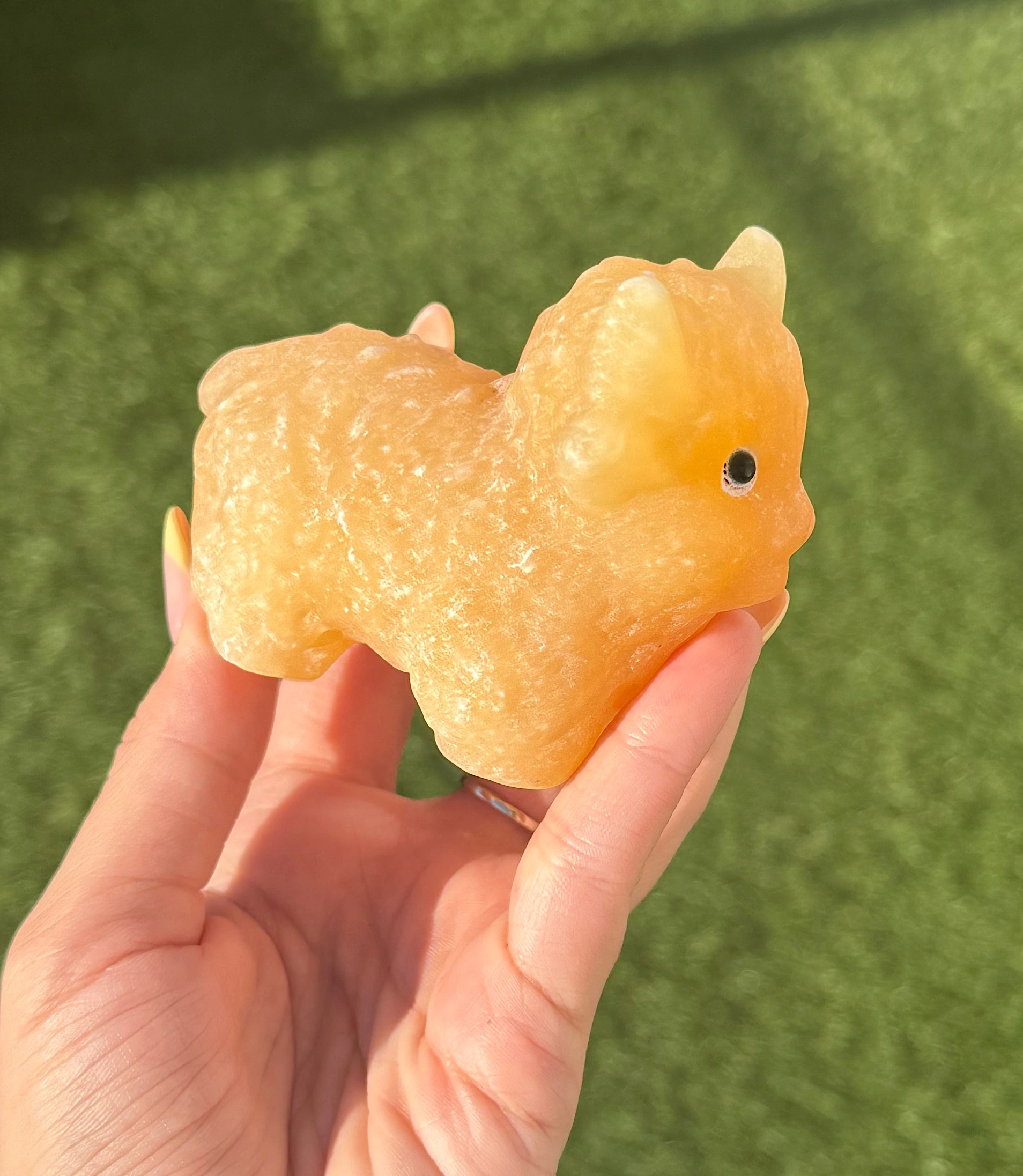 🧡🐮The Golden Wink ~ Orange Calcite Highland Cow🐮🧡 - Image 2