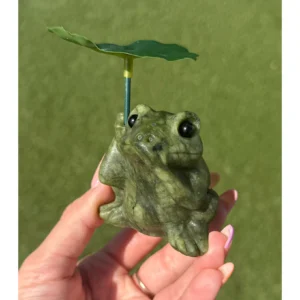 🐸☂️💚Лягушка Мисс Фортуна ~ Хранительница счастливого дождя💚☂️🐸