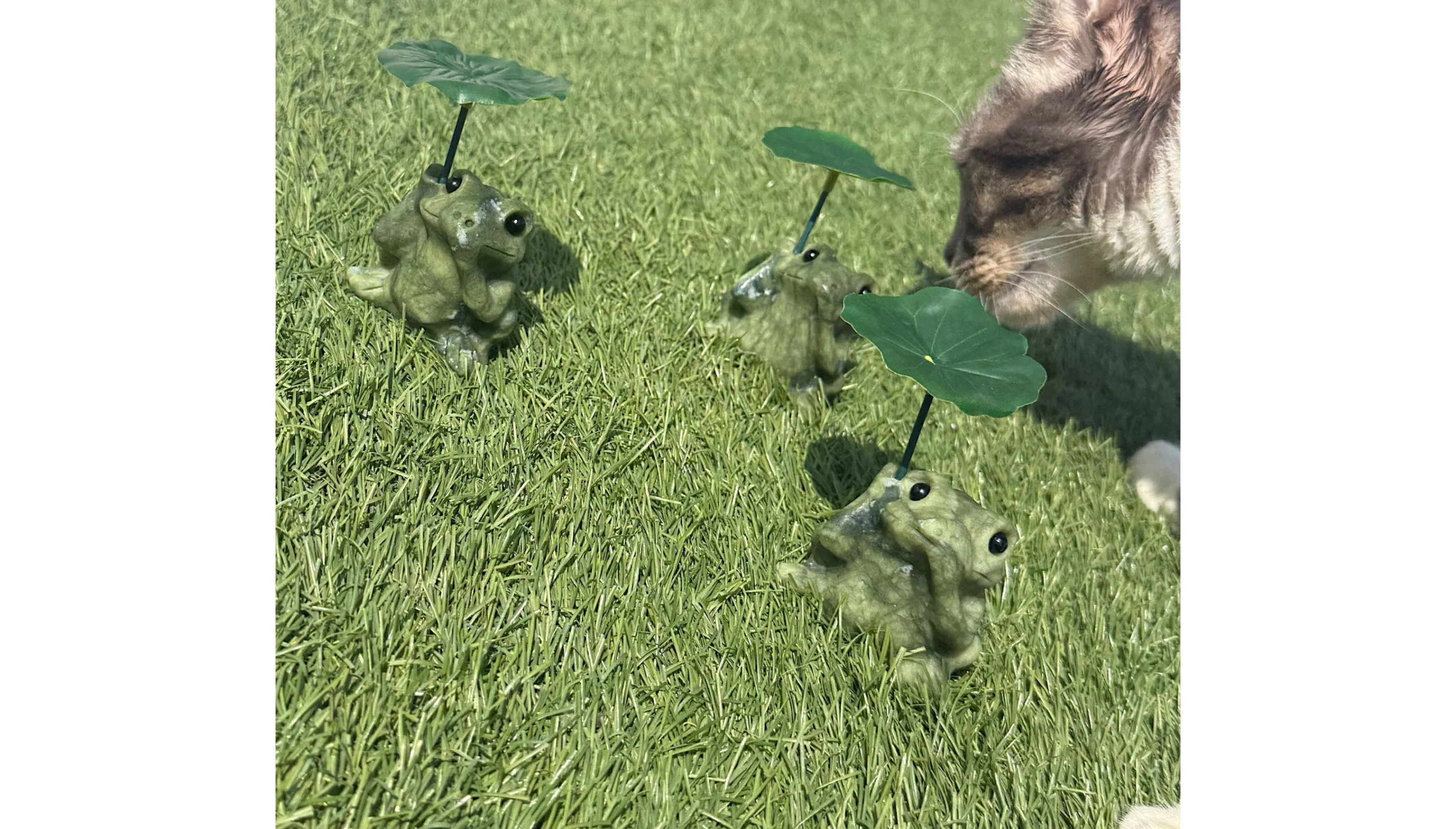 🐸☂️💚Miss Fortune Frog ~ The Keeper of Lucky Rain💚☂️🐸 - Image 3