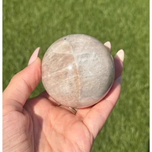 🌙🤎 The Moon That Remembered Earth 🤎🌙